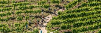 Cross Country Tra le Torri 2026